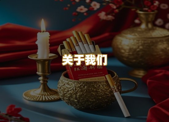 关于我们
